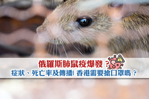 News: 俄羅斯肺鼠疫爆發？肺鼠疫是什麼？症狀、死亡率及傳播| 香港需要搶口罩嗎？